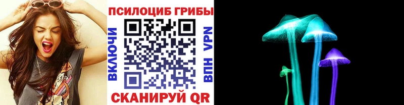 Купить  Богданович  Галлюциногенные грибы Cubensis 